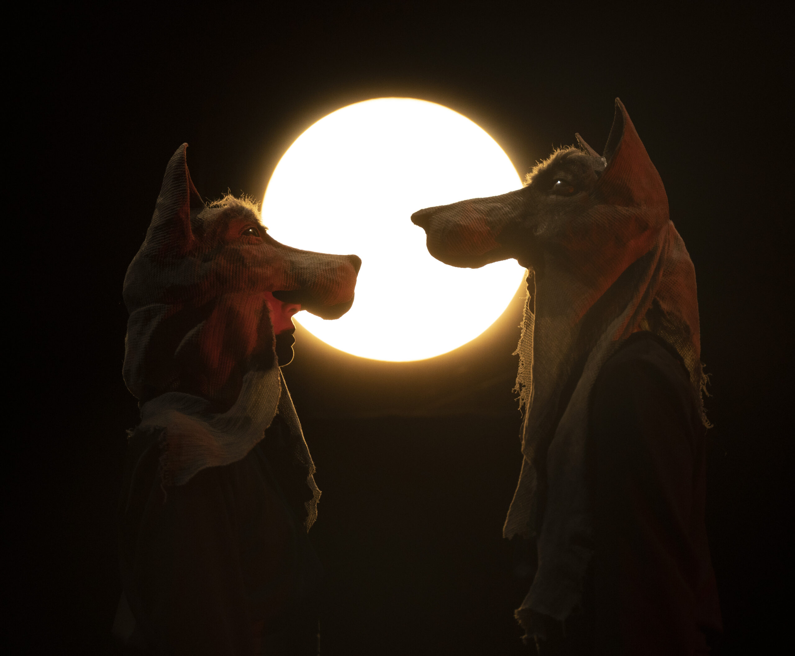 ROSALUNA E I LUPI | LaSerataDeiBambini